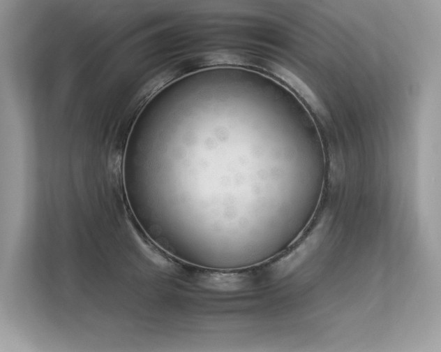 X0000112850849200908211259