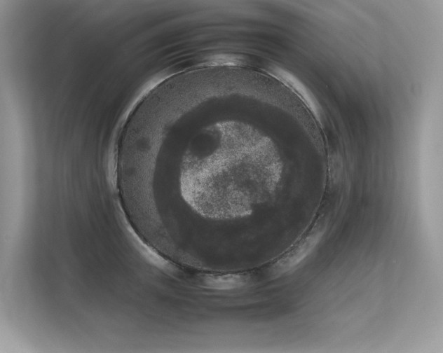 X0000112850851200908211259