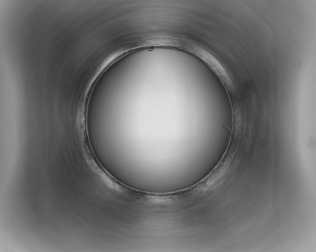 X0000112850852200908211259
