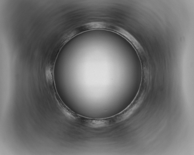 X0000112850857200908211259