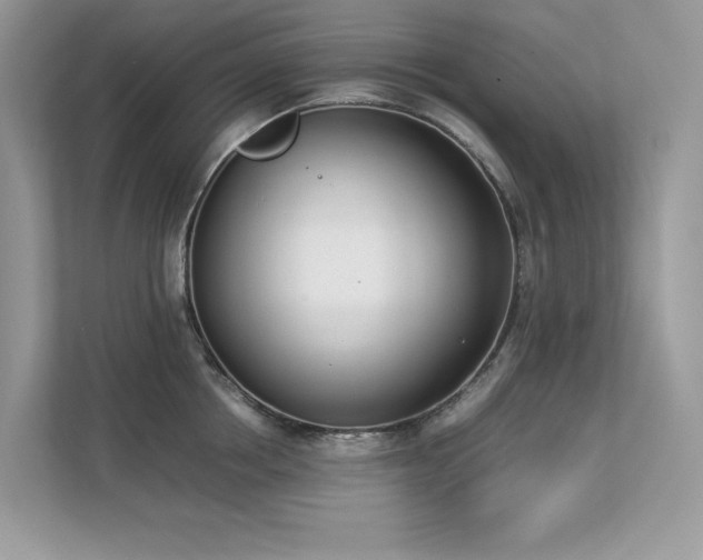 X0000112850858200908211259