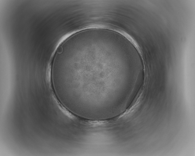 X0000112850862200908211259