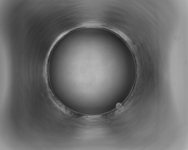 X0000112850864200908211259