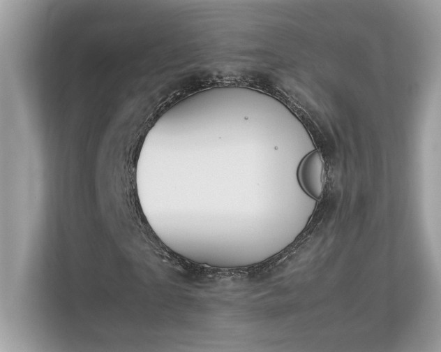 X0000112850865200908211258