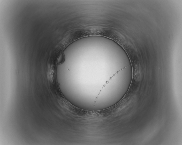 X0000112850866200908211258