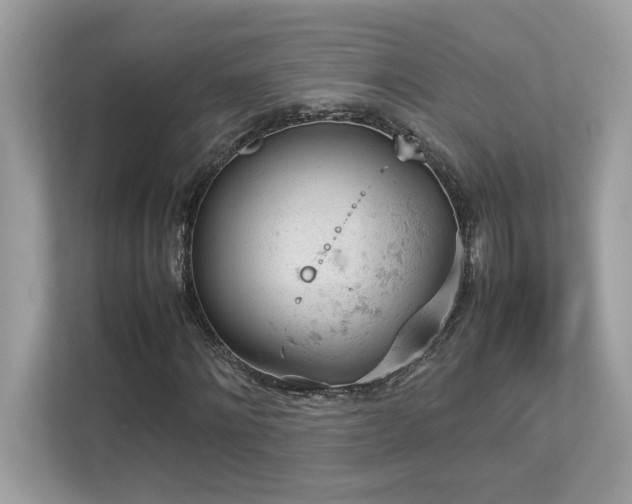 X0000112850868200908211258