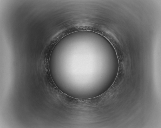 X0000112850870200908211258