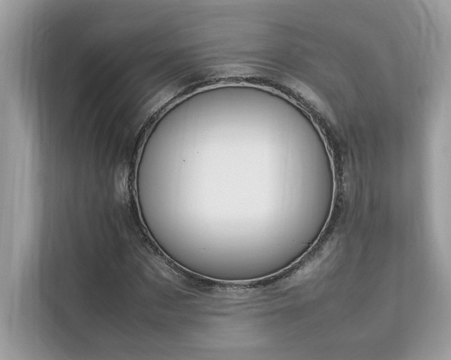 X0000112850873200908211258