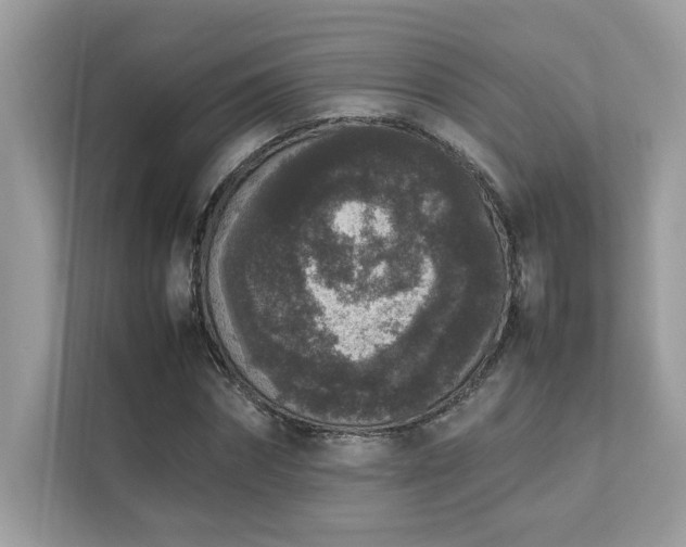 X0000112850874200908211258