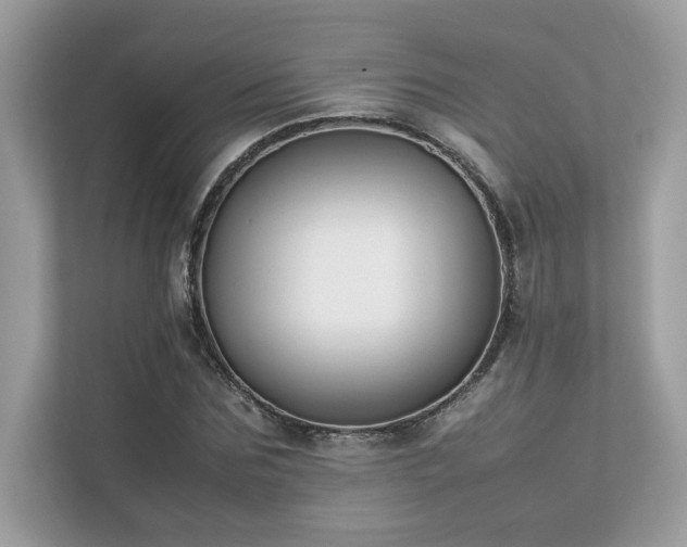 X0000112850875200908211258