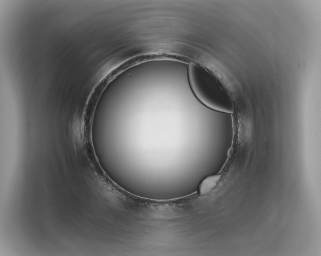 X0000112850876200908211258