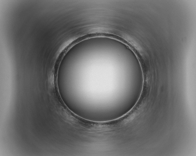 X0000112850877200908211258