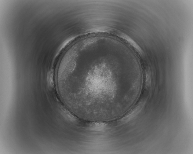 X0000112850878200908211258