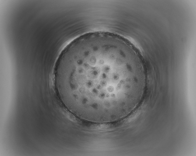 X0000112850879200908211258