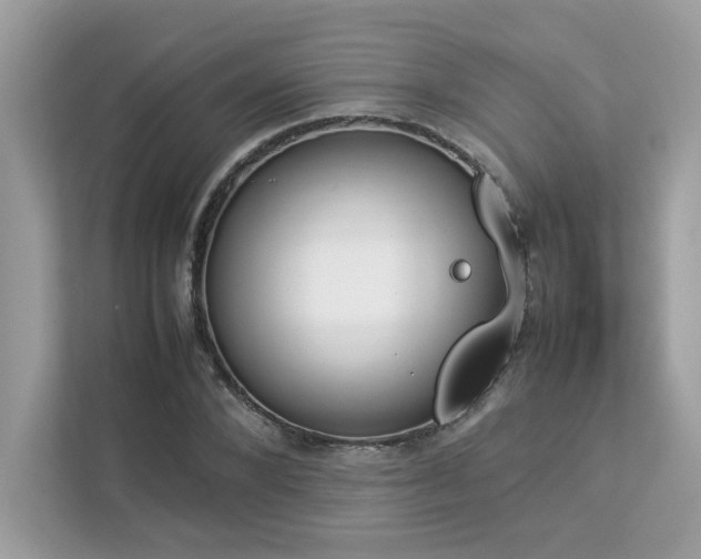X0000112850880200908211258