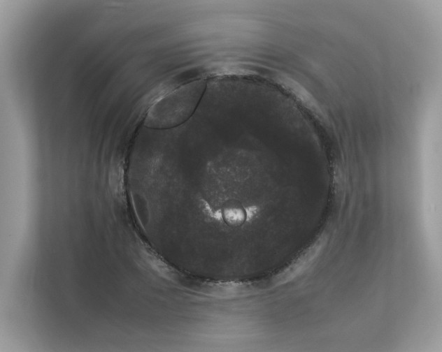 X0000112850881200908211258