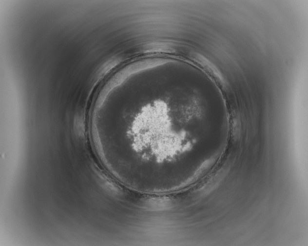 X0000112850882200908211258