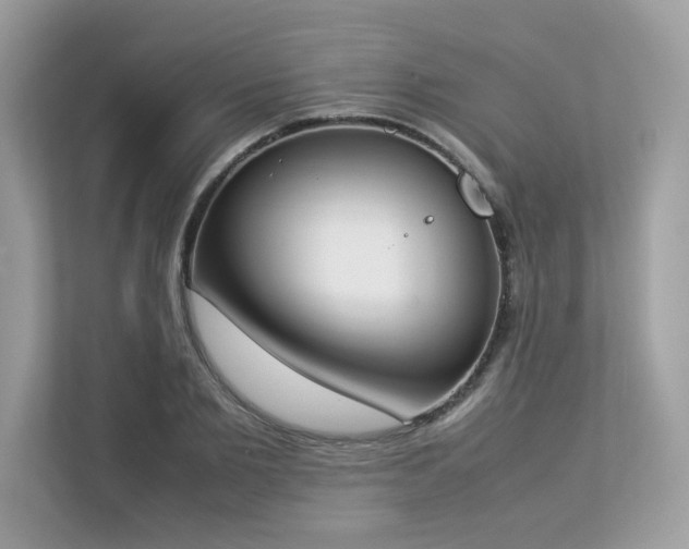 X0000112850885200908211258