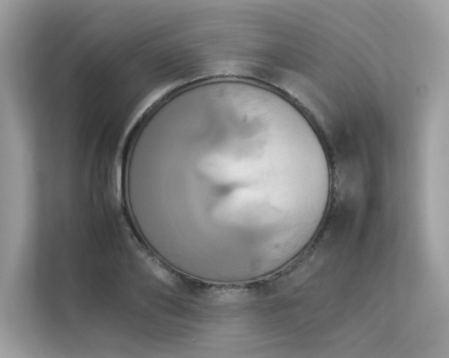 X0000112850886200908211258