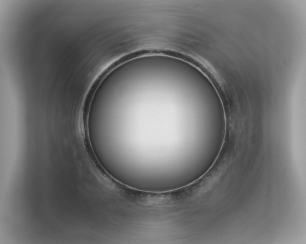 X0000112850887200908211258