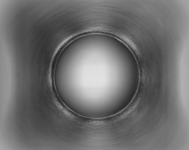 X0000112850888200908211258