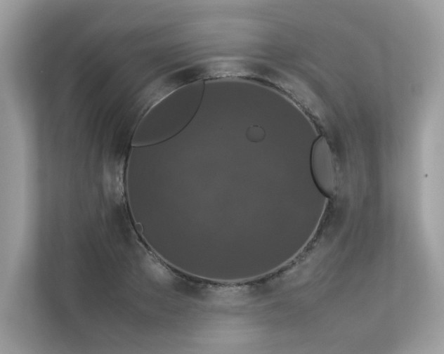X0000112850889200908211258