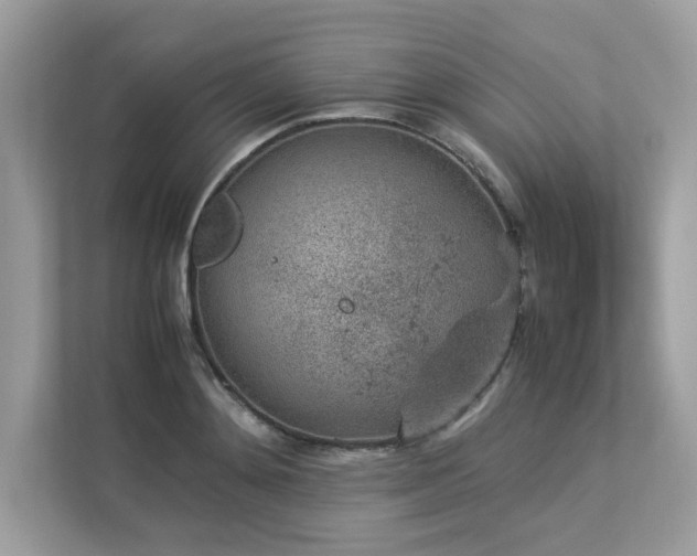 X0000112850892200908211258