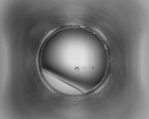 X0000112850893200908211258