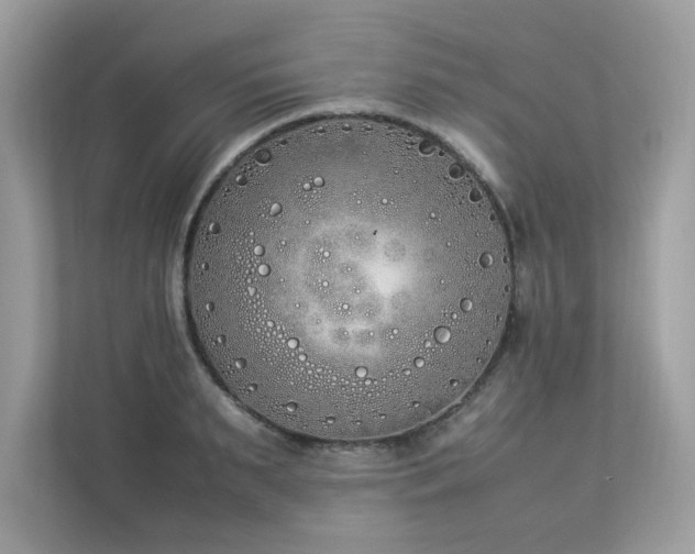 X0000112850895200908211258