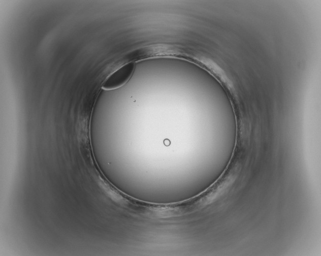 X0000112850897200908211258