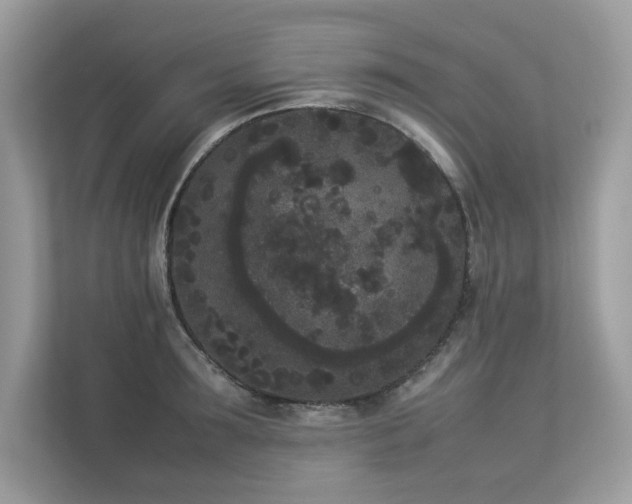 X0000112850899200908211258