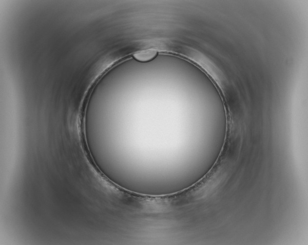 X0000112850901200908211258