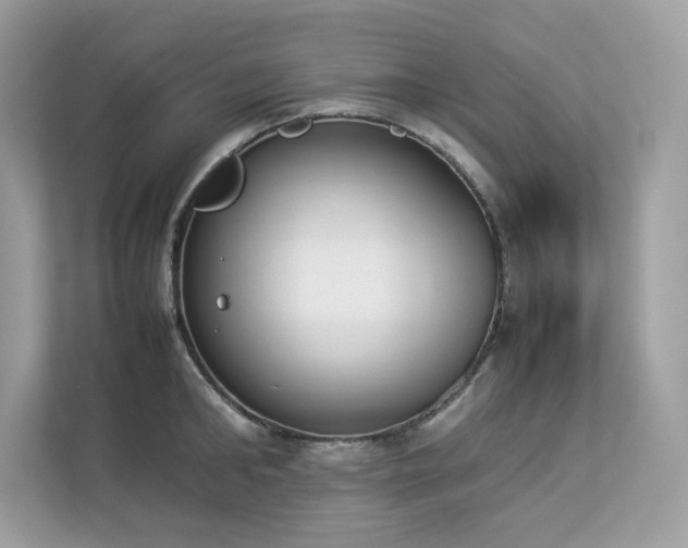 X0000112850902200908211258