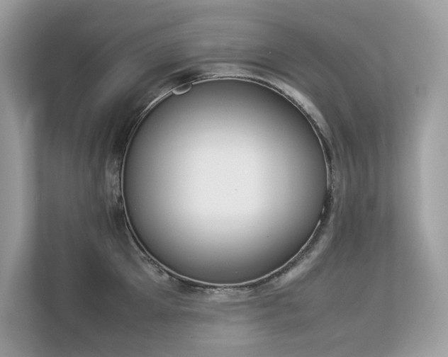 X0000112850905200908211258