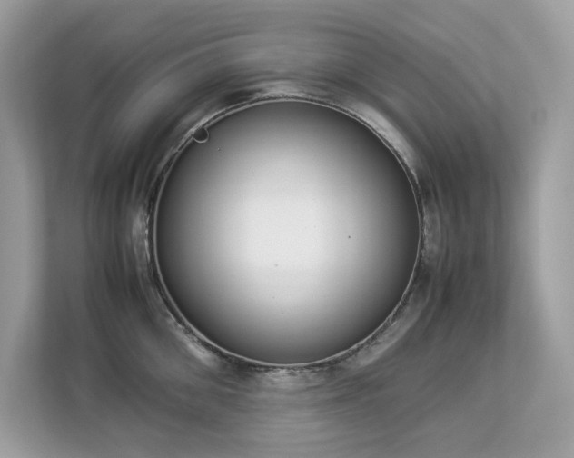 X0000112850906200908211258