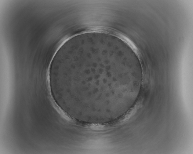 X0000112850907200908211258
