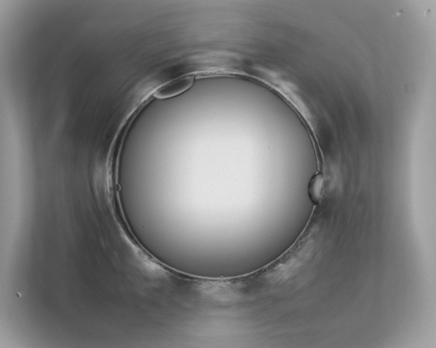 X0000112850909200908211258