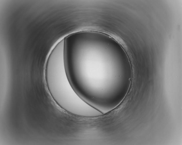 X0000112850912200908211258