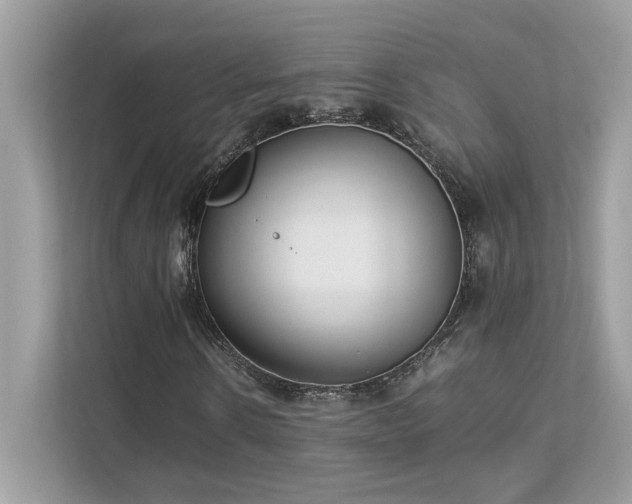 X0000112850914200908211257