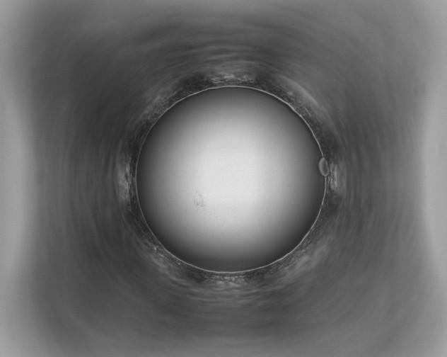 X0000112850915200908211257