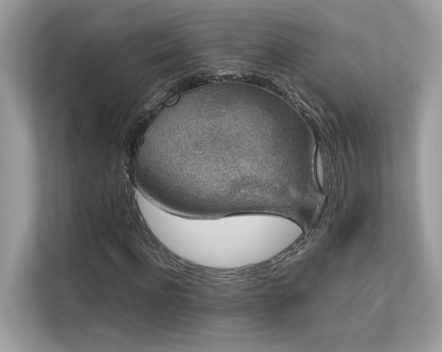 X0000112850916200908211257