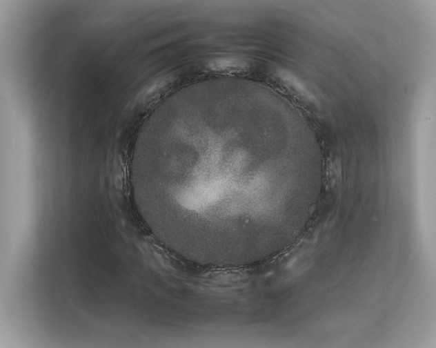 X0000112850917200908211257