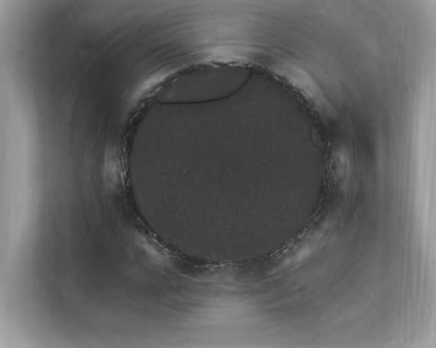 X0000112850920200908211257