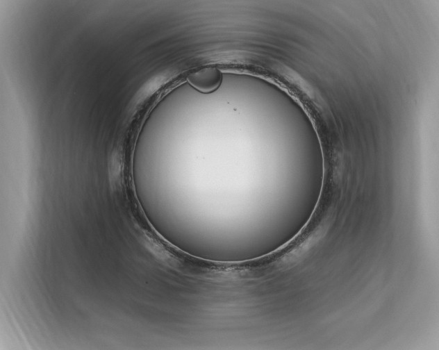 X0000112850922200908211257