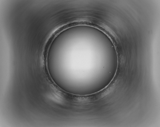 X0000112850927200908211257