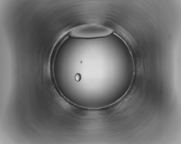 X0000112850932200908211257