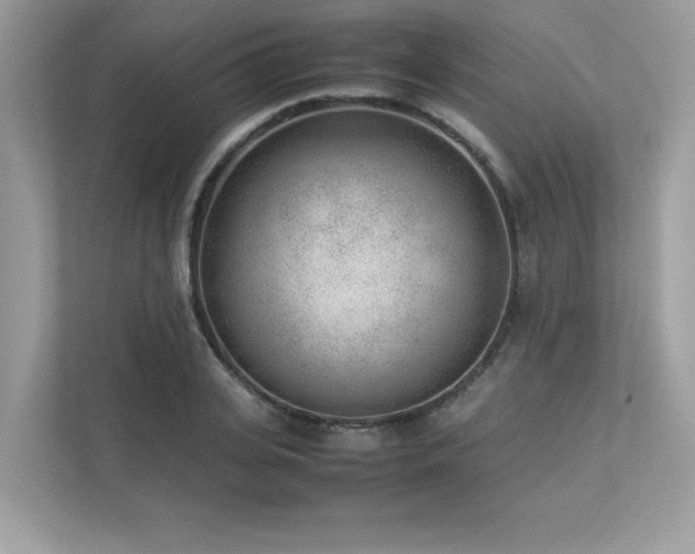 X0000112850935200908211257