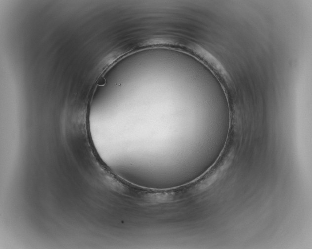 X0000112850937200908211257