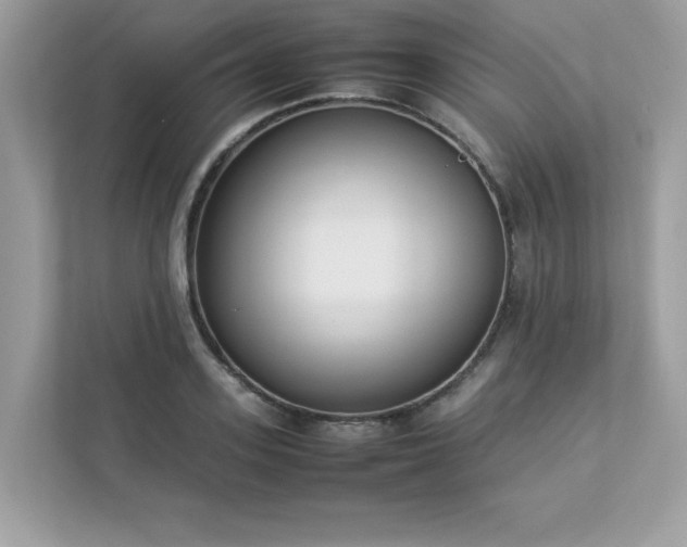 X0000112850939200908211257