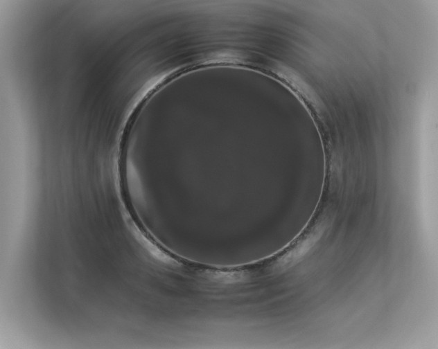 X0000112850941200908211257